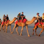 Rajasthan-Camel-Safari-1024x768